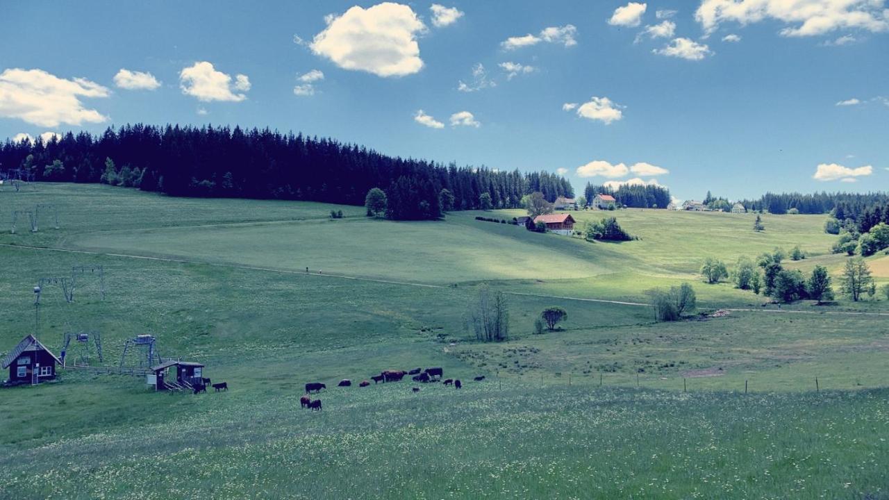 Daheim Im Hirschen Apartment Schoenwald im Schwarzwald Exterior photo